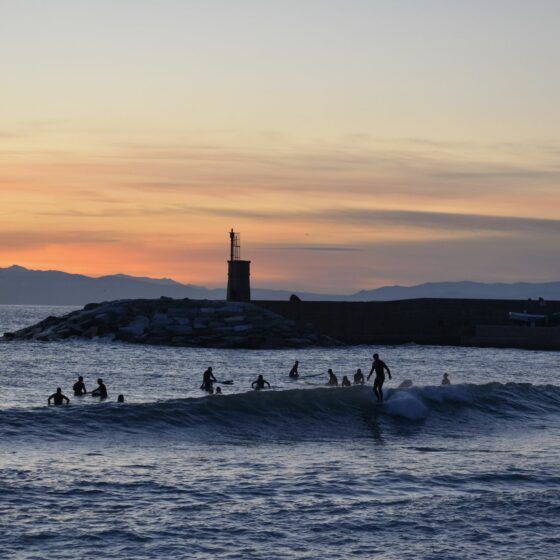 Recco Longboard