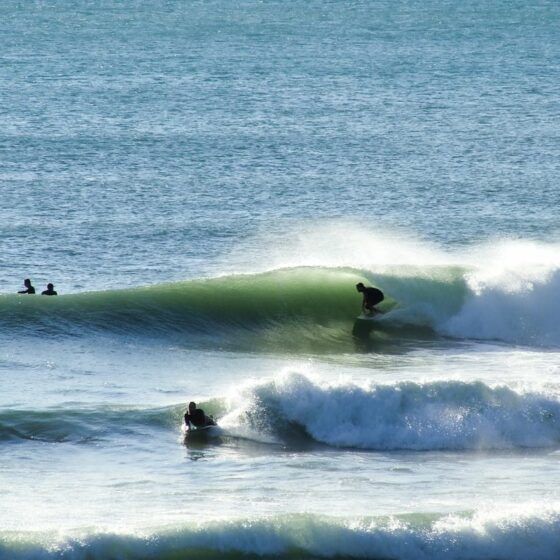 onde mediterranee