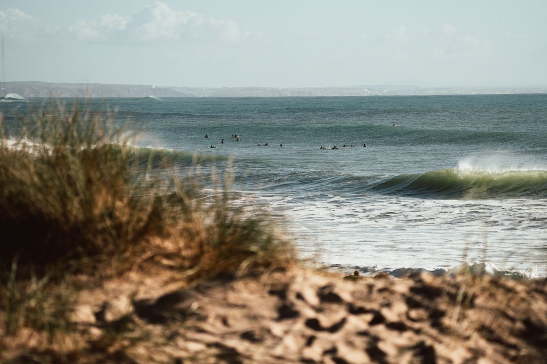 Portogallo Surf estivo