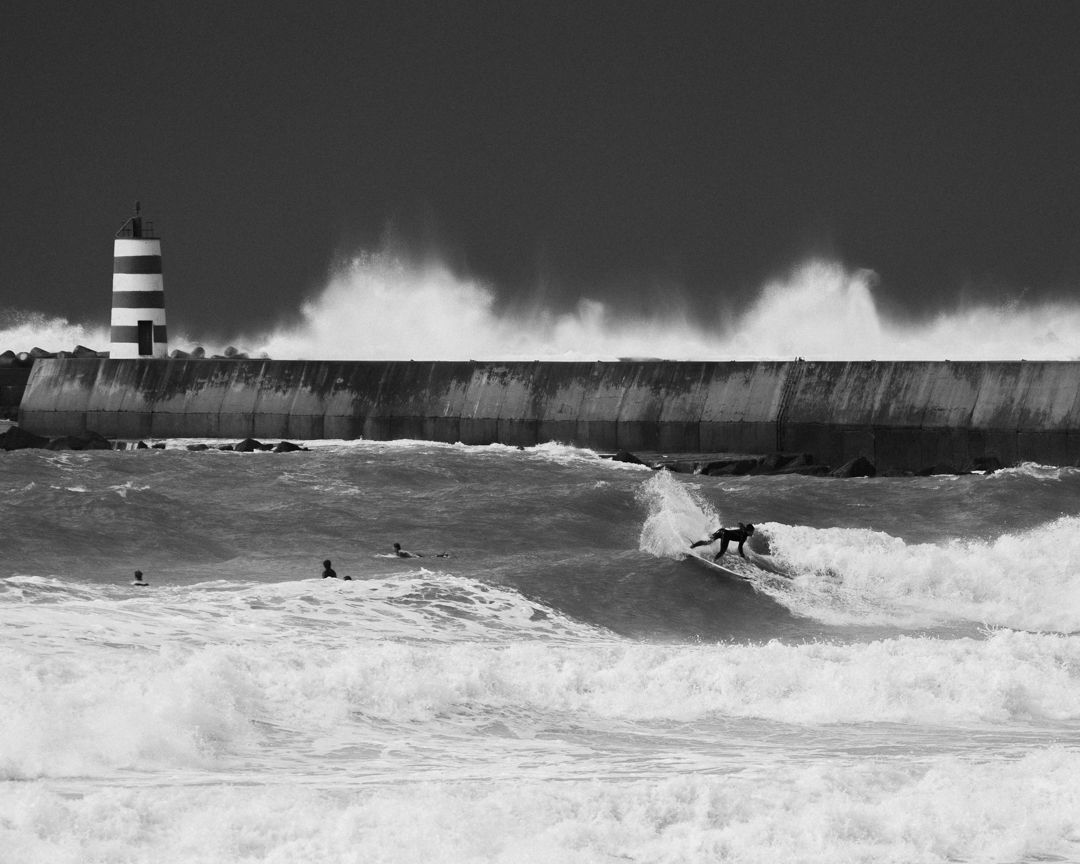 surf libertà