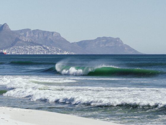 Surf Sudafrica Cape Town