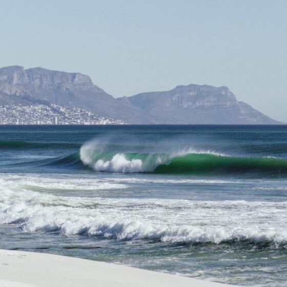 Surf Sudafrica Cape Town